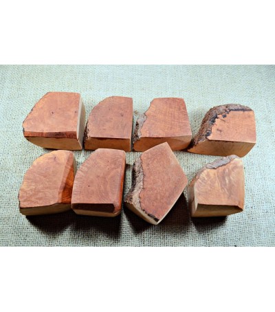 Plateau Medium Size Pack of 8