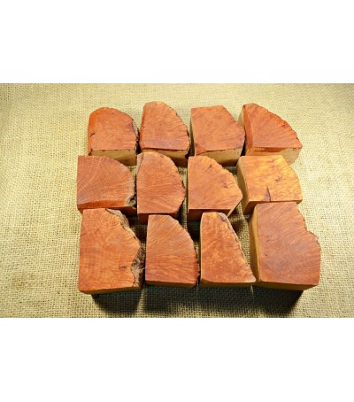 Plateau Small Size Pack of 12