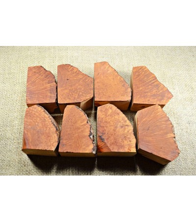 Plateau Medium Size Pack of 8