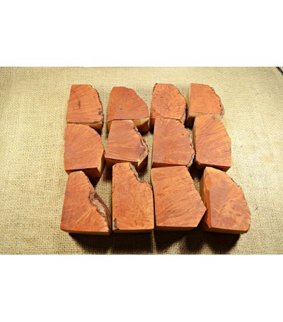 Plateau Small Size Pack of 12