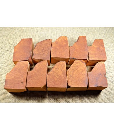 Extra Extra Briar M9SP (MFF 1-2)