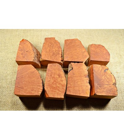 Plateau Medium Size Pack of 8