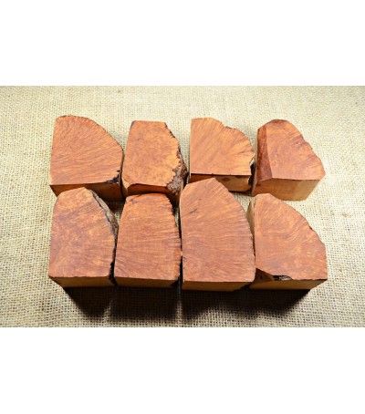 Plateau Medium Size Pack of 8