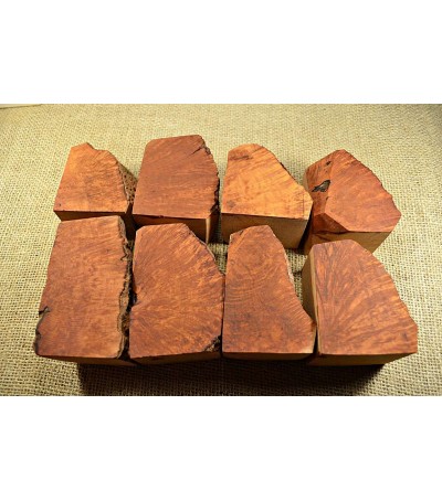 Plateau Extra Large Size Pack of 8