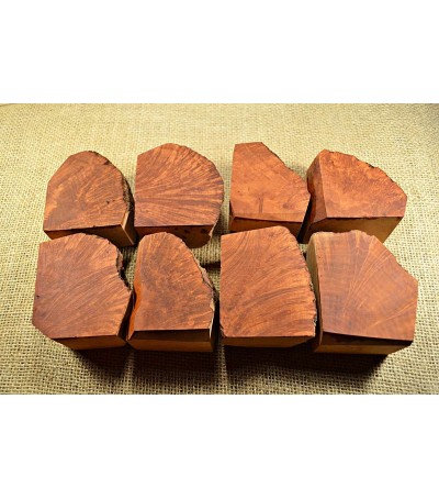 Plateau Medium Size Pack of 8