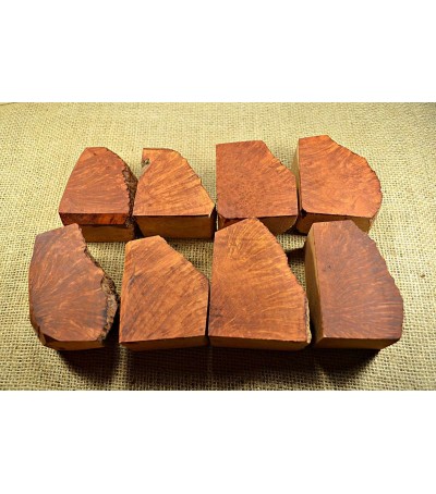 Plateau Medium Size Pack of 8