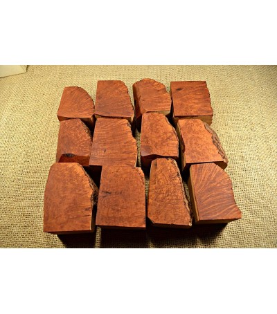 Plateau Small Size Pack of 12