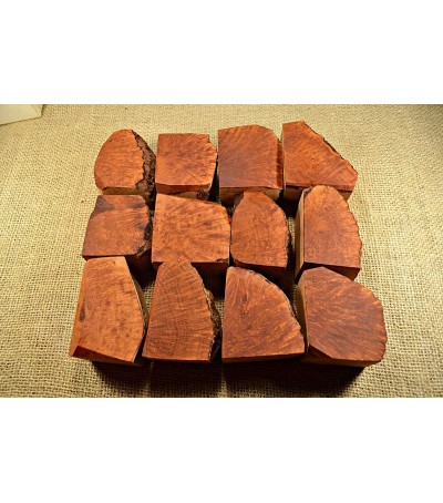 Plateau Small Size Pack of 12