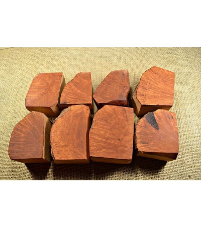 Plateau Medium Size Pack of 8