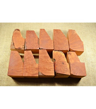 Extra Extra Briar M11SP  (MFF 2-3)