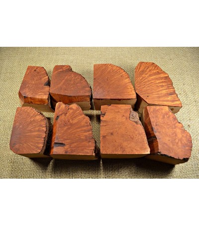 Plateau Extra Large Size Pack of 8