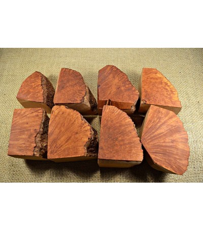 Plateau Extra Large Size Pack of 8