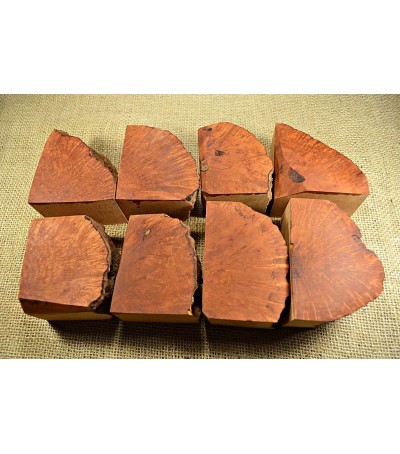 Plateau Extra Large Size Pack of 8