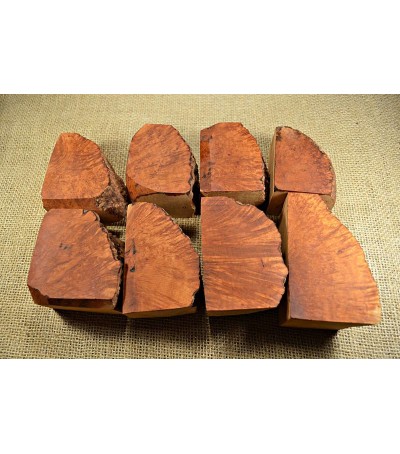 Plateau Extra Large Size Pack of 8