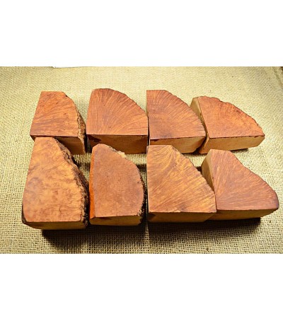 Plateau Extra Large Size Pack of 8