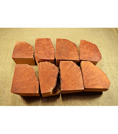 Plateau Medium Size Pack of 8