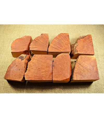 Plateau Medium Size Pack of 8