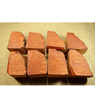 Plateau Extra Large Size Pack of 8