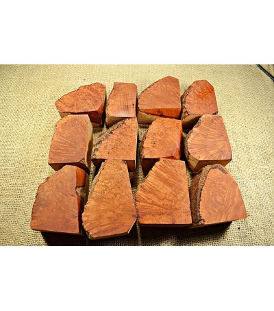 Plateau Small Size Pack of 12