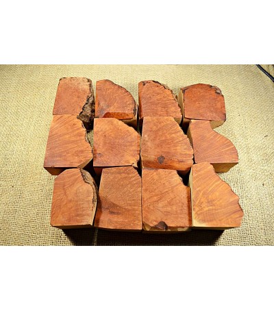 Plateau Small Size Pack of 12