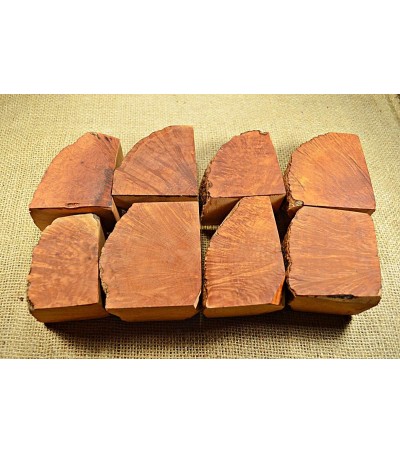 Plateau Extra Large Size Pack of 8