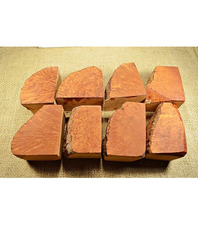 Plateau Extra Large Size Pack of 8