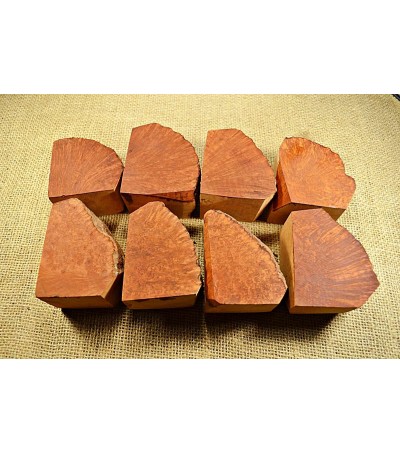 Plateau Medium Size Pack of 8