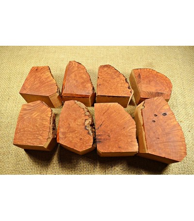 Plateau Medium Size Pack of 8