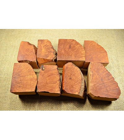 Plateau Medium Size Pack of 8