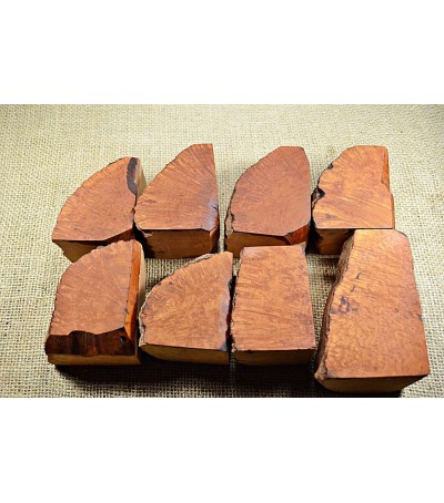 Plateau Extra Large Size Pack of 8