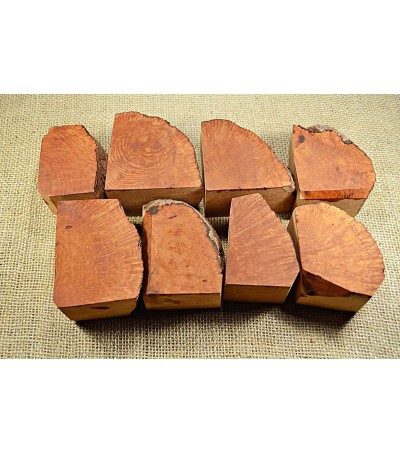 Plateau Medium Size Pack of 8