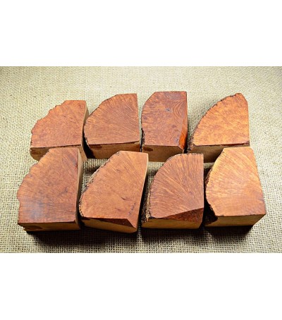 Plateau Medium Size Pack of 8