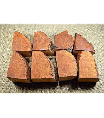 Plateau Extra Large Size Pack of 8