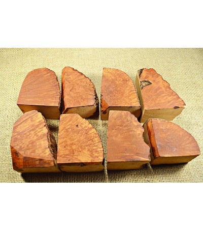 Plateau Medium Size Pack of 8
