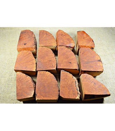 Plateau Small Size Pack of 12