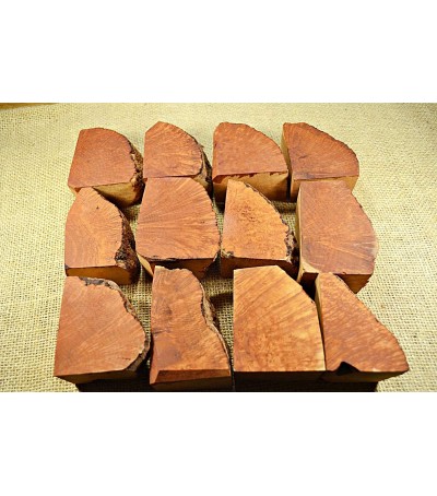 Plateau Small Size Pack of 12