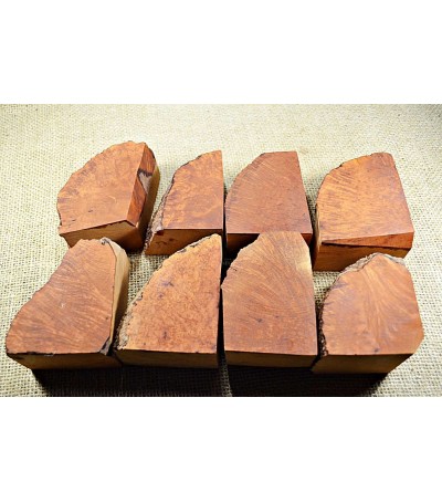 Plateau Medium Size Pack of 8