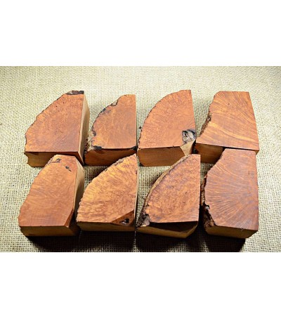 Plateau Extra Large Size Pack of 8