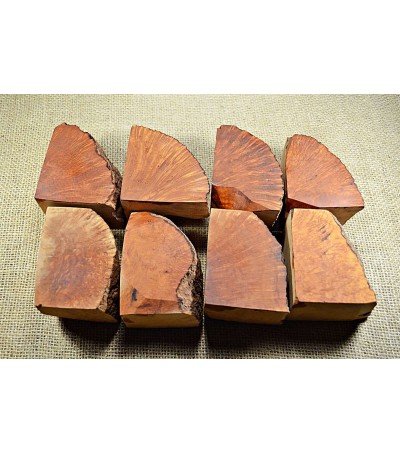 Plateau Extra Large Size Pack of 8