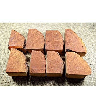 Plateau Medium Size Pack of 8