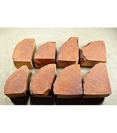 Plateau Medium Size Pack of 8