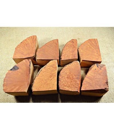 Plateau Medium Size Pack of 8