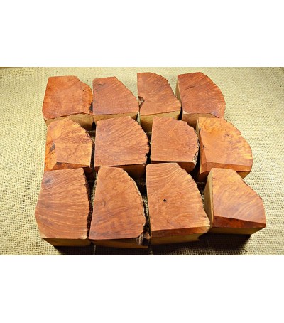 Plateau Small Size Pack of 12