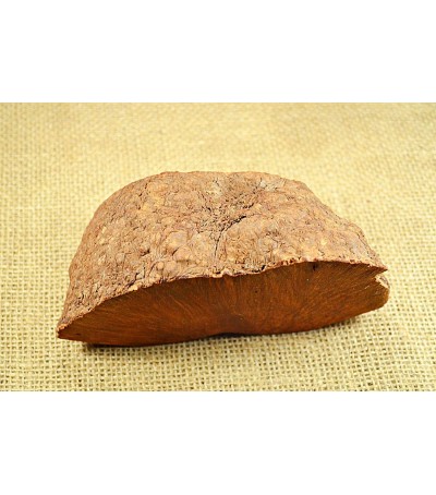 Plateau Greek Briar PLT 01 –  Top view